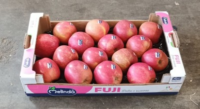 Foto Mele Fuji Lavorazione in Padella Marchio Melinda  Origine Italia Calibro 85/90           1